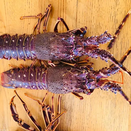 Coralli & Restaurant