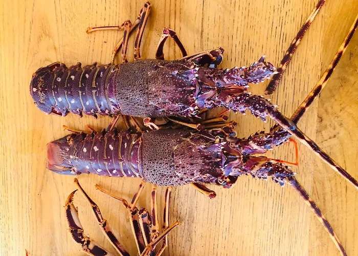 Coralli & Restaurant